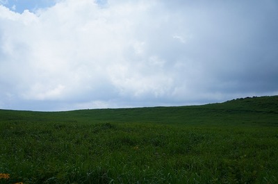DSC00767.jpg